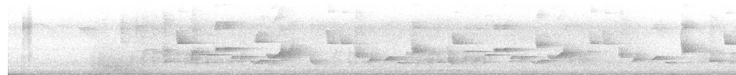 Зернолуск sp. - ML619180686