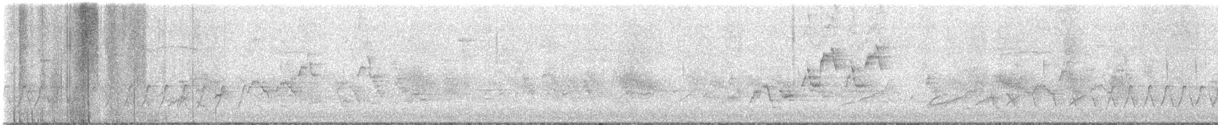 Дрізд-короткодзьоб Cвенсона - ML619181082