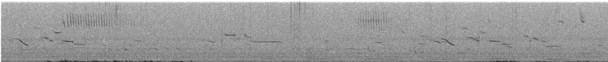 Leconteammer - ML619181723