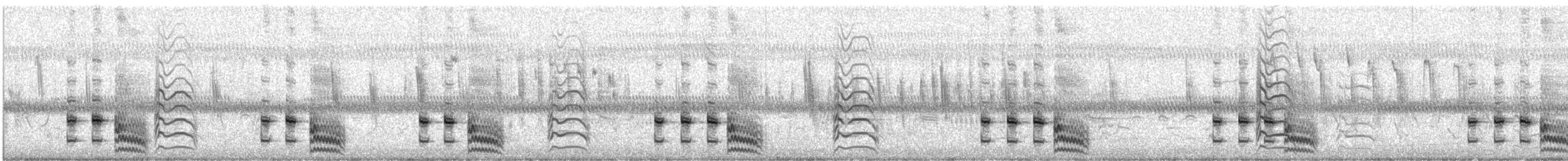 Polluela Negruzca - ML619181953