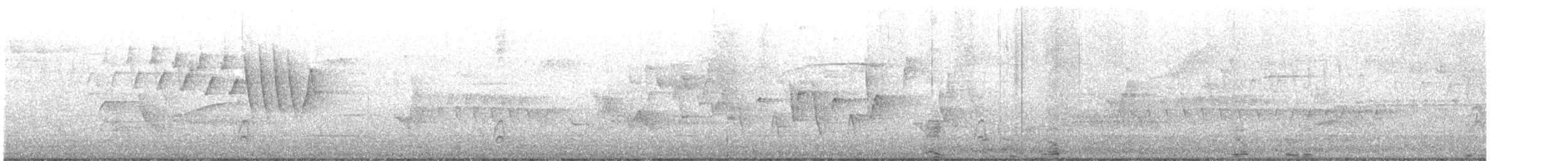 Paruline à gorge grise - ML619184018