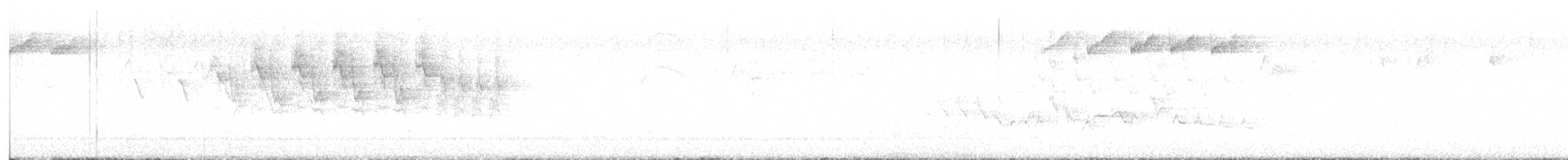 Blackpoll Warbler - ML619184071