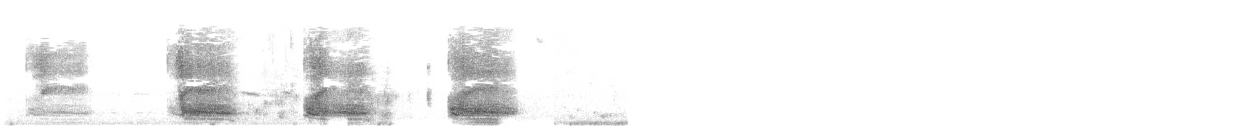 Cornacchia grigia - ML619184120