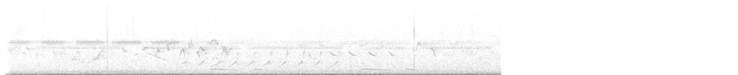 holoubek mexický - ML619184574