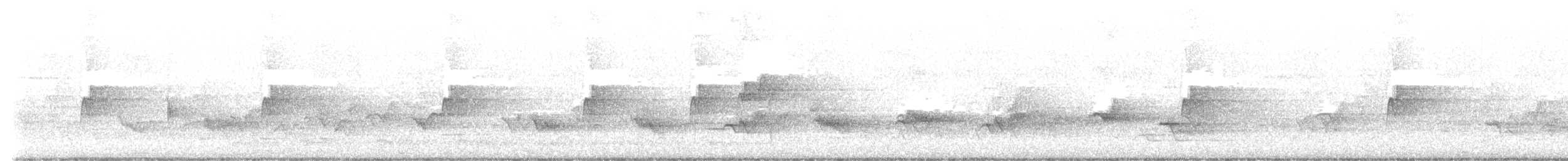 חטפית ירקרקה - ML619185208