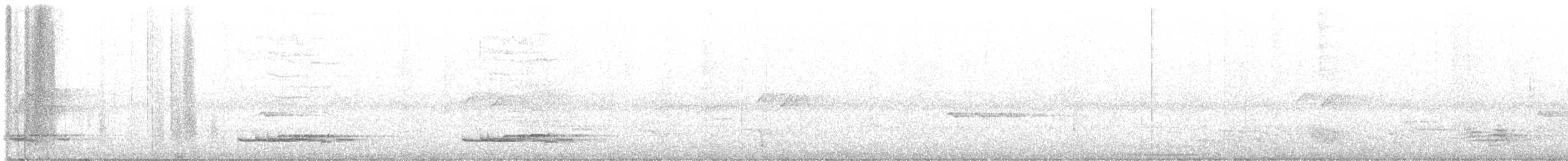 Long-tailed Manakin - ML619186235