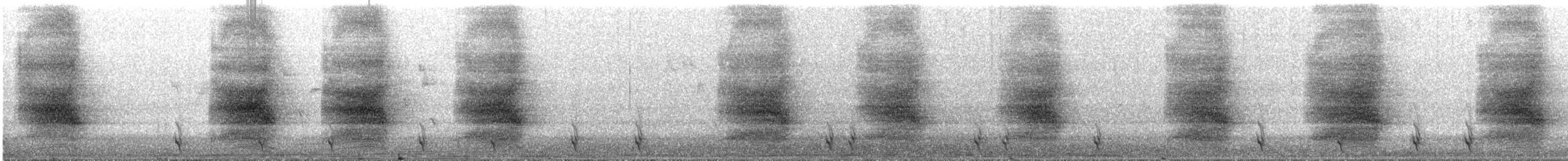 Chara de Steller (grupo coronata) - ML619186502