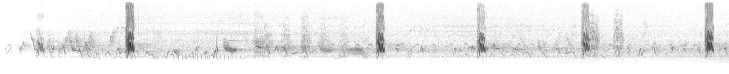 Hirondelle à front blanc (groupe pyrrhonota) - ML619186504