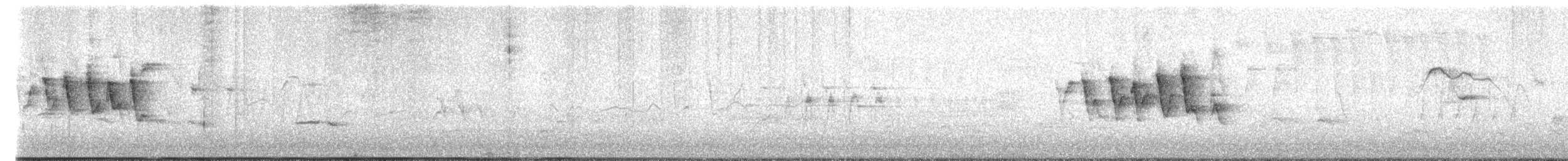 Wilson's Warbler - ML619186722