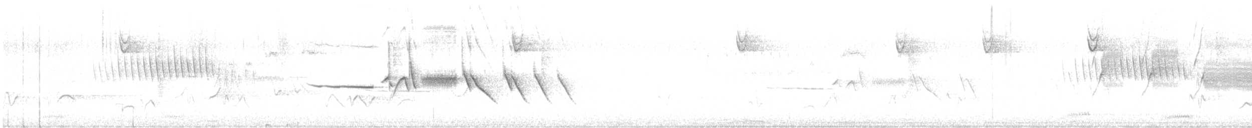 Bruant à couronne blanche - ML619187605