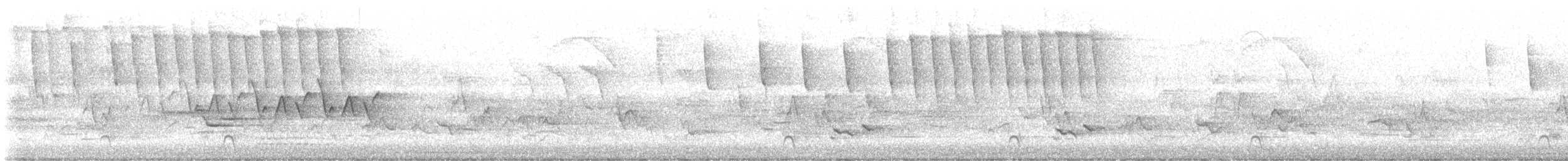 Tennesse Ötleğeni - ML619187696