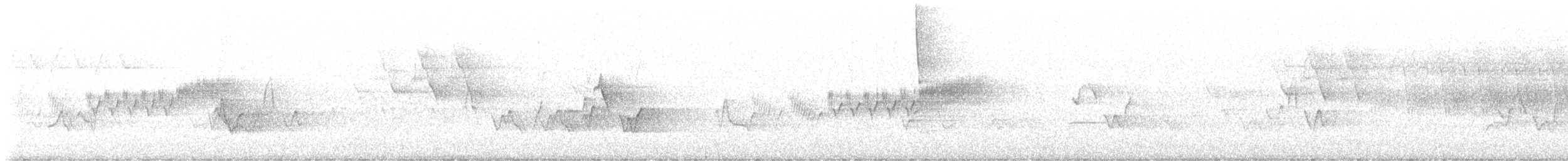 lesňáček modropláštíkový - ML619187894