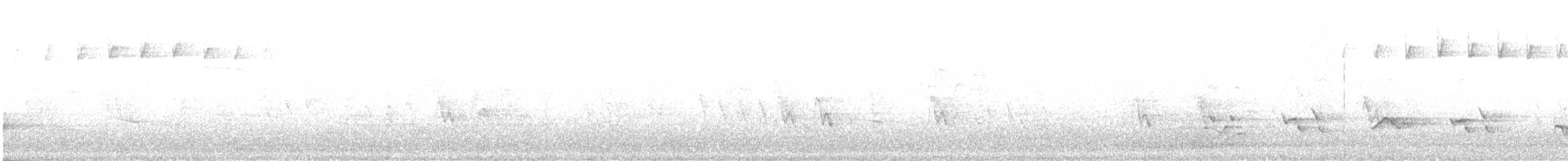 Paruline rayée - ML619190356