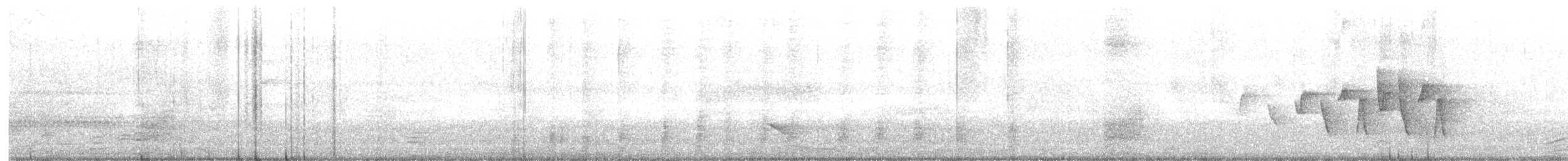 Paruline à gorge grise - ML619191074