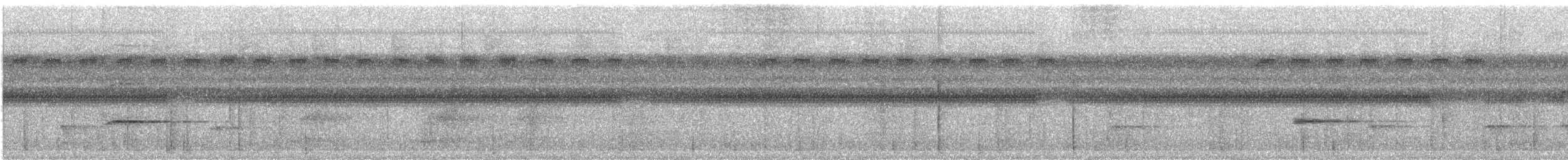 svartkronet hvitbukpapegøye - ML619191657