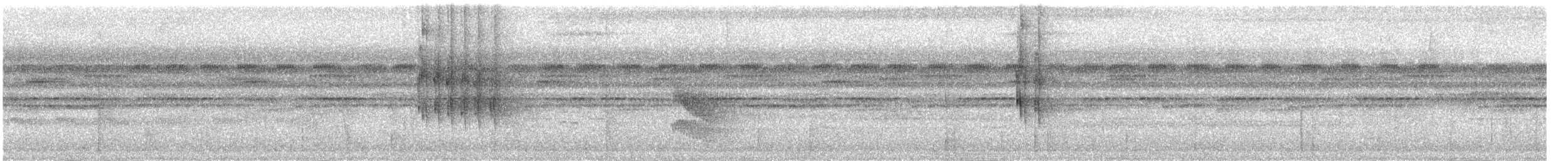 Dreibinden-Ameisenvogel - ML619191688