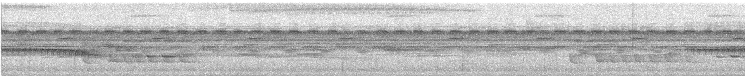 Dreibinden-Ameisenvogel - ML619191692