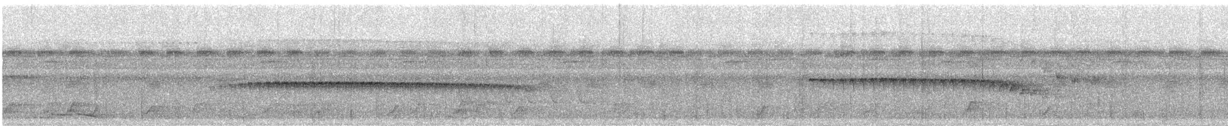 Dreibinden-Ameisenvogel - ML619191693