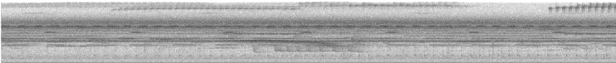 hvitvingebekard - ML619191782