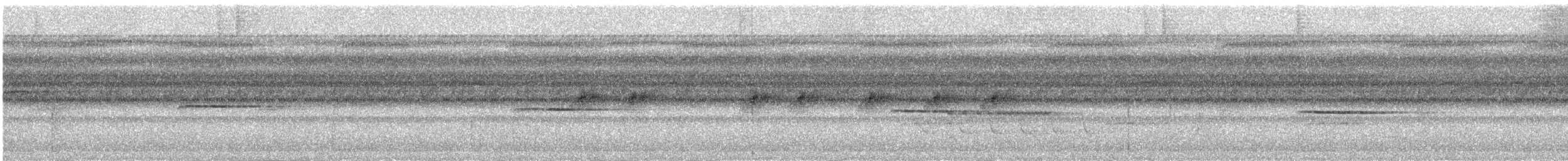 Troglodyte siffleur - ML619191829