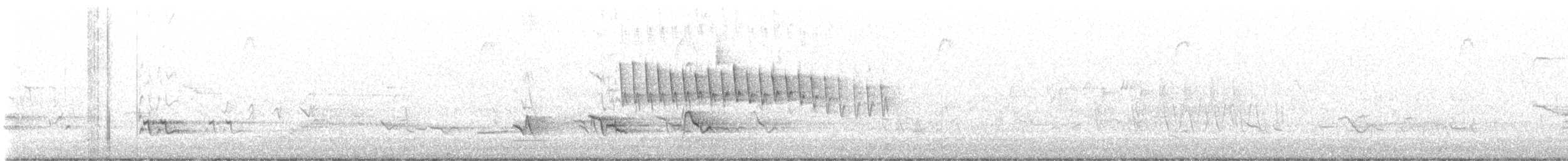 サメズアカアメリカムシクイ - ML619192210