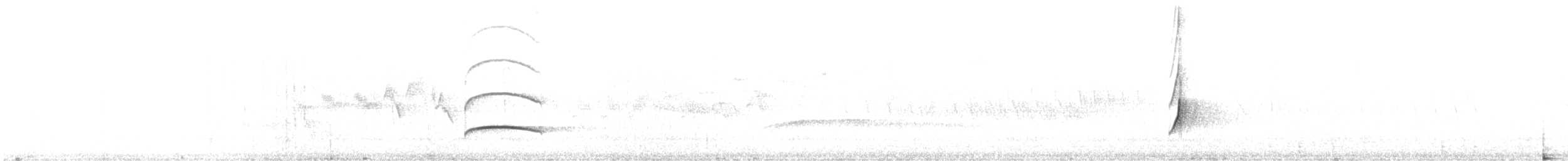 Boz Başlı Sinekkapan (olivascens) - ML619193177