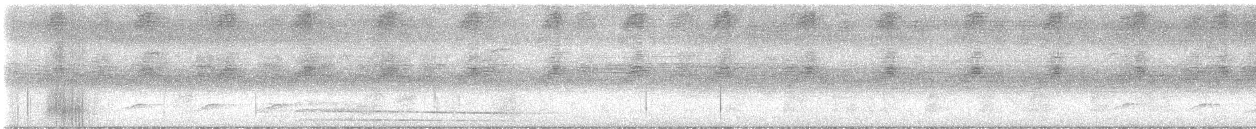 Банкивский петух (Одомашенного вида) - ML619194677