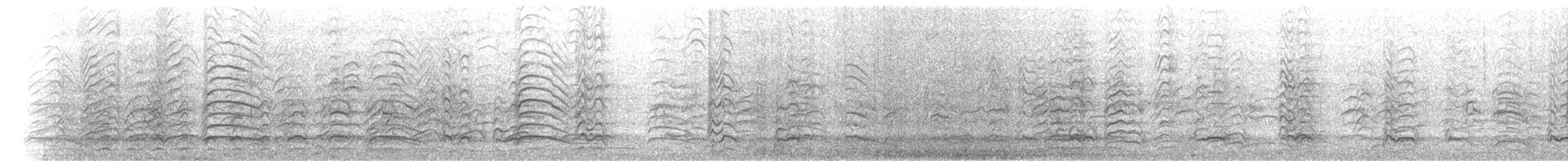 Aztekenmöwe - ML619194719