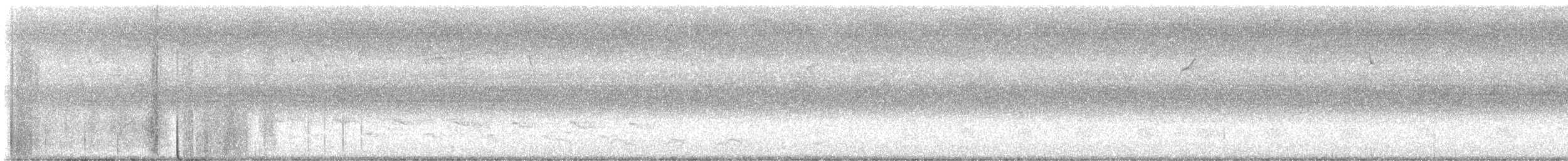 Банкивский петух (Одомашенного вида) - ML619195312