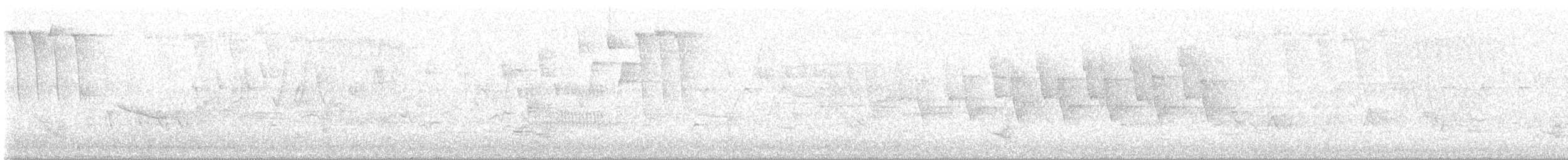 Paruline à calotte noire - ML619195935