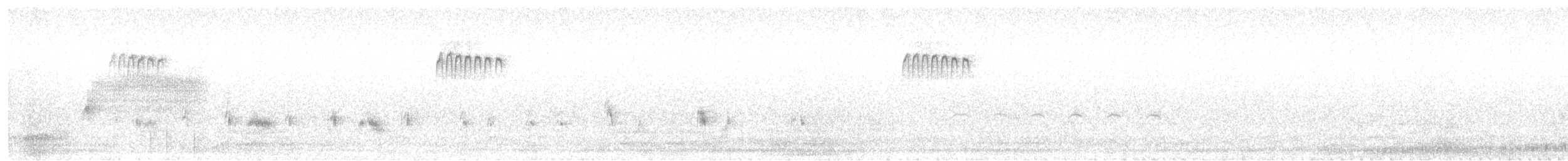 Kalifornienspottdrossel - ML619196418