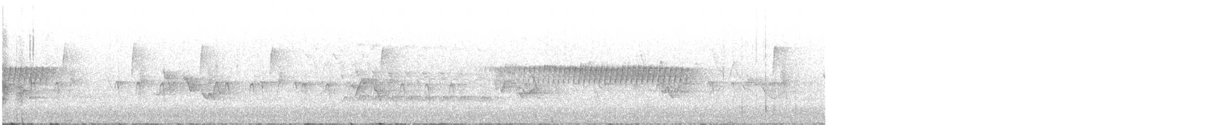 Bec-croisé des sapins (type 12) - ML619196513