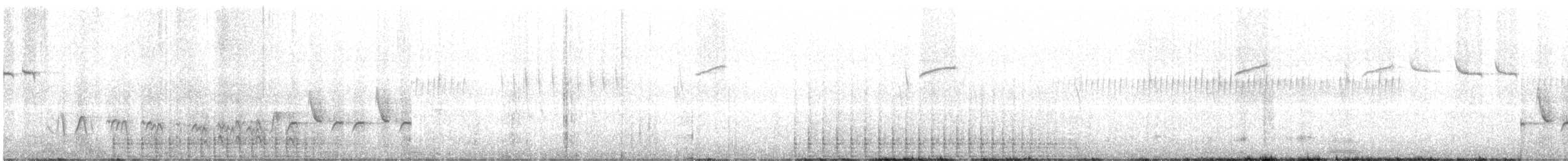 アメリカミユビゲラ - ML619196541