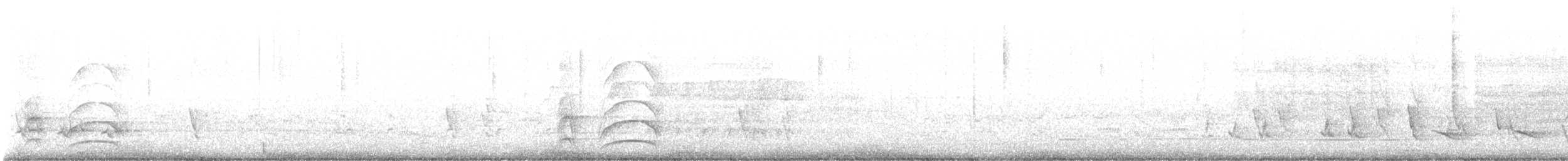 Büyük Kiskadi Tiranı - ML619197199