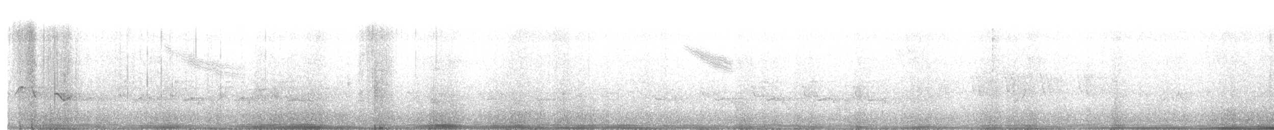 Sperlingsvogel, unbestimmt - ML619197256