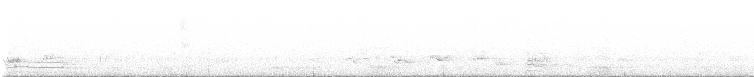Plongeon huard - ML619197666