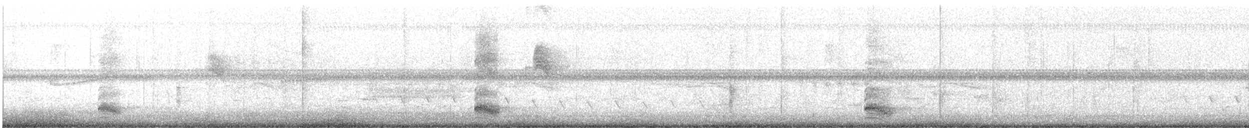 kvakoš noční - ML619198357