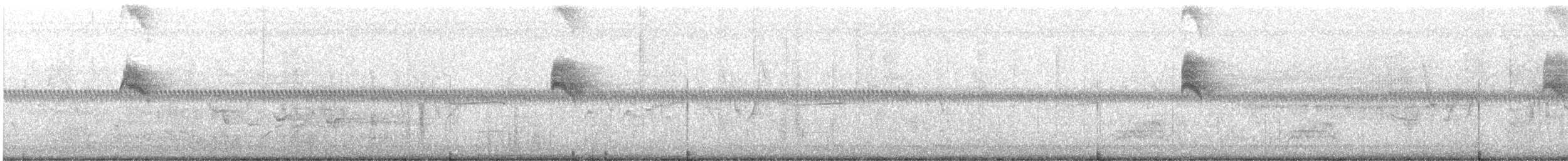 tyran obecný - ML619198364