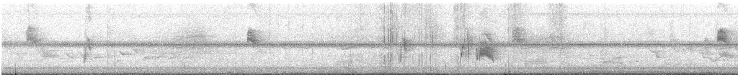 tyranovec vrbový - ML619198393