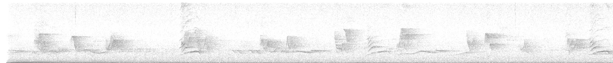 Манишковый дрозд - ML619198553
