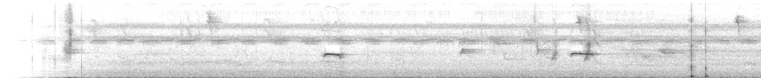 Тиранчик-тонкодзьоб північний - ML619199015