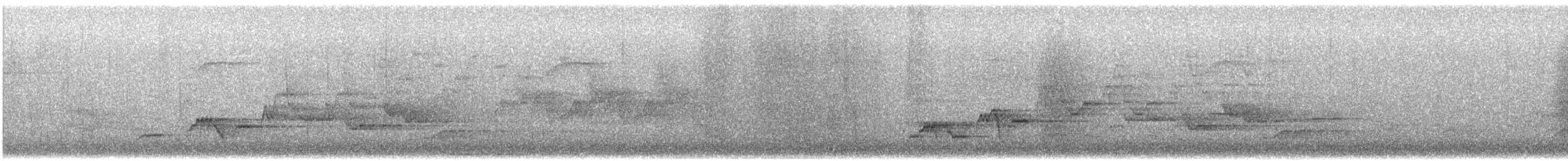 Дрізд-короткодзьоб Cвенсона - ML619199970