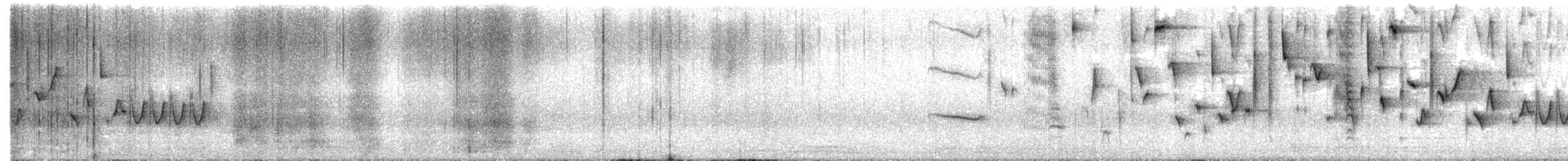 Rostbrauen-Zaunkönig - ML619201331