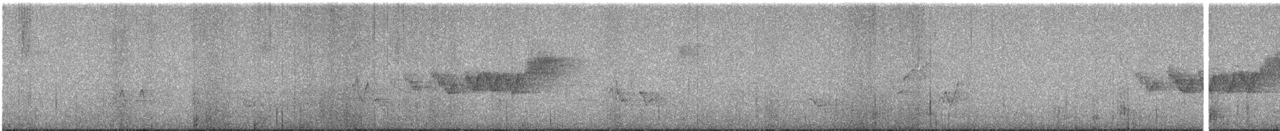Cerulean Warbler - ML619201804