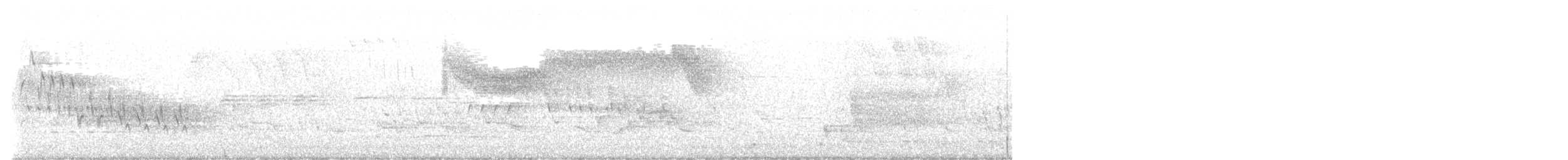 雑種 キンバネアメリカムシクイ ｘ アオバネアメリカムシクイ（F2戻し交配） - ML619202100