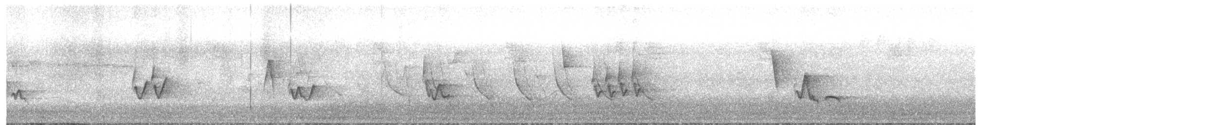 Viréo aux yeux rouges - ML619204404