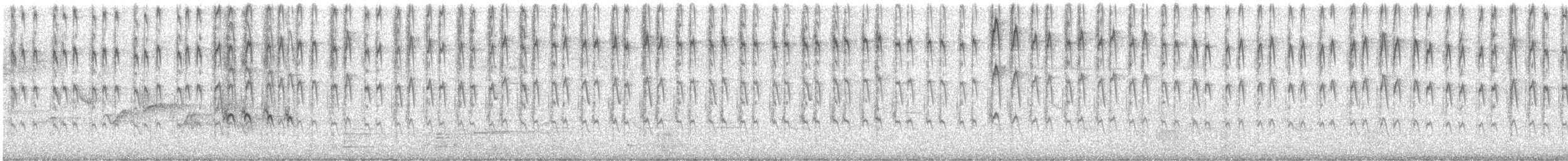 datlovití sp. - ML619206573