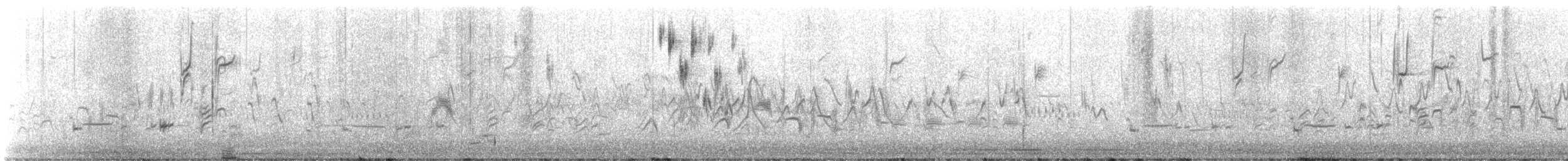 brakkspurv - ML619209223