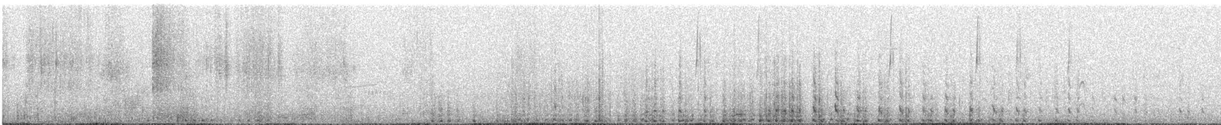 Чернокрылая земляная горлица - ML619210735