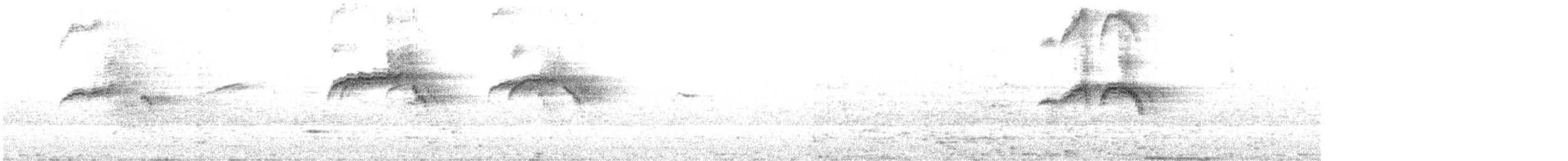 ヨーロッパアマツバメ - ML619212370